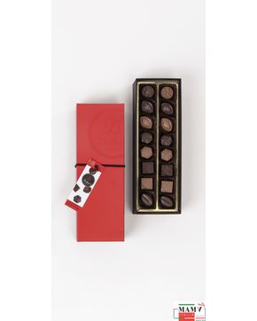 Конфеты шоколадные Ассорти пралине ручной работы в красной подарочной коробке 160 гр.Bodrato